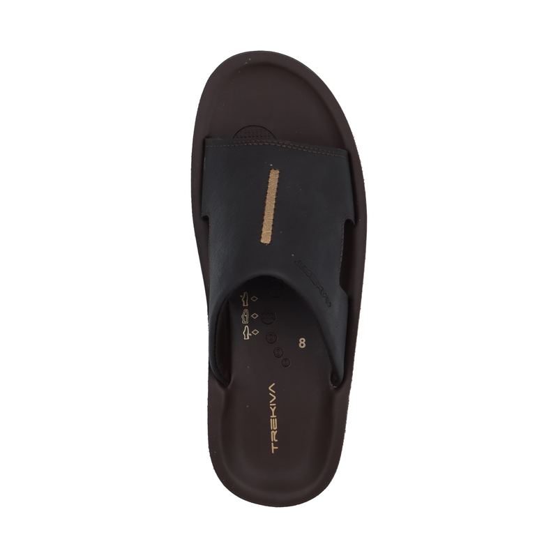 TR-P02002-Brown-img-1.png