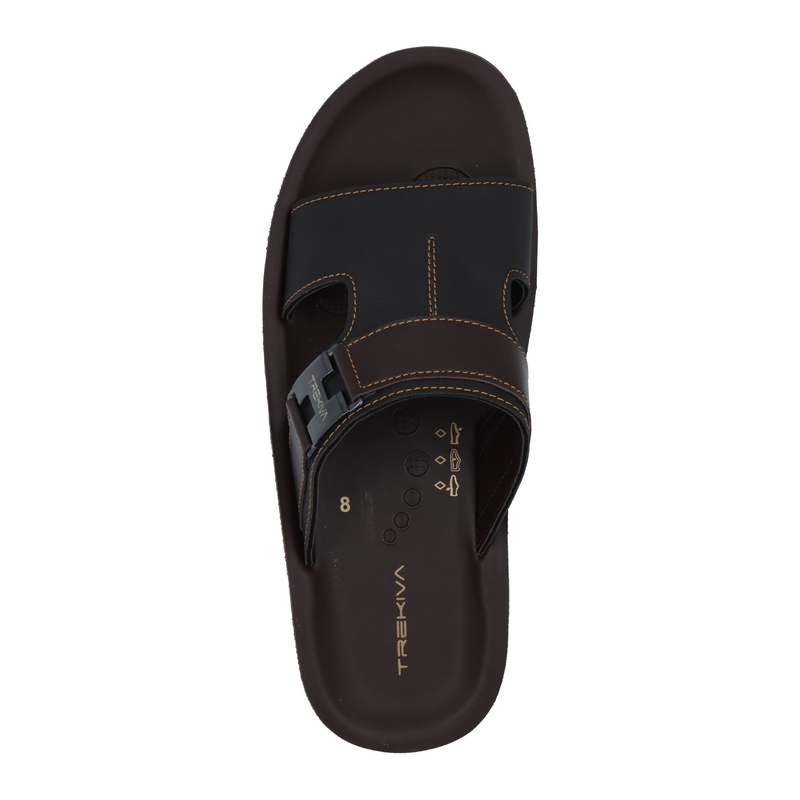TR-P02003-Brown-img-1.png
