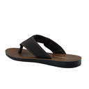 TR-P04002-Light-and-Dark-Brown-img-2.png
