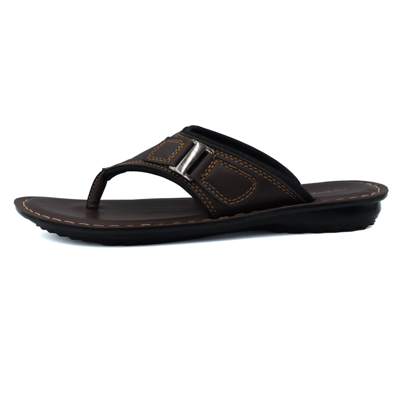TR-P06001-Brown-img-1.png
