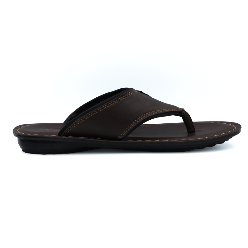 TR-P06001-Brown-img-2.png