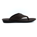 TR-P06001-Brown-img-2.png