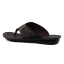 TR-P06001-Brown-img-4.png