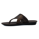 TR-P06002-Brown-img-2.png