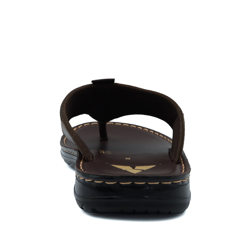 TR-P08003-Brown-img-3.png