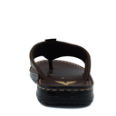 TR-P08003-Brown-img-3.png