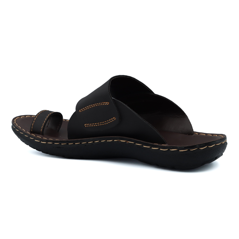 TR-P12001-Brown-img-2.png