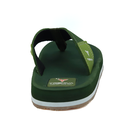 TR-T0501-Mehandi-Olive-img-2.png
